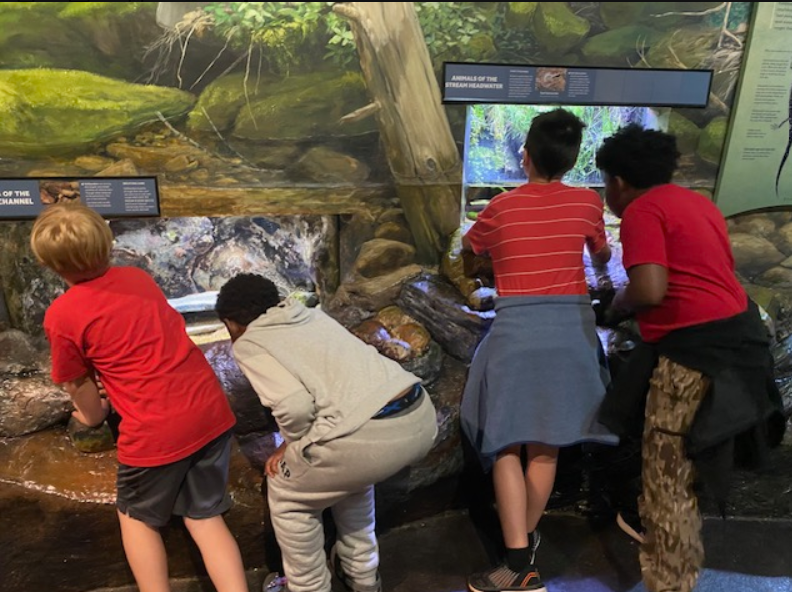 Students in red shirts exploring a stream habitat aquarium exhibit on a field trip
